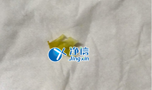 冷凍研磨儀JXFSTPRP-II研磨破碎小鼠關(guān)節(jié)韌帶實(shí)驗案例